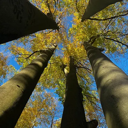 Zum Aatal * Bad Wünnenberg