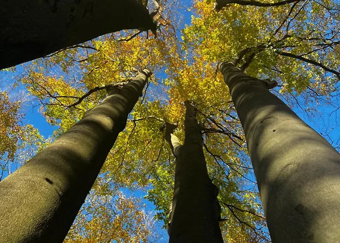 Zum Aatal * Bad Wünnenberg